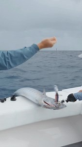 Stronger, Faster, Deeper. When it comes to wahoo fishing the DTX HD line simply gets the job done #nomad #wahoo | Nomad Design Tackle