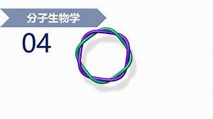 【分子生物学】4.1 DNA的拓扑结构（上）