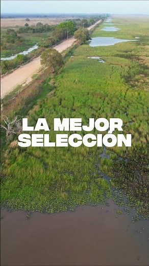 Immortal Hits of Llanera Music