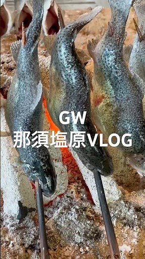 [Nasu Shiobara VLOG] Exploring Nasu Shiobara to the fullest! The golden route of fishing, soba no...