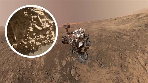 NASA-Rover macht wichtige Entdeckung in bizarrer Landschaft auf dem Mars