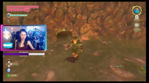 The Legend of Zelda: Skyward Sword HD