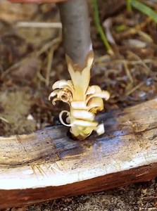 Practical Hacks for Real Survival | 5-Minute Workouts