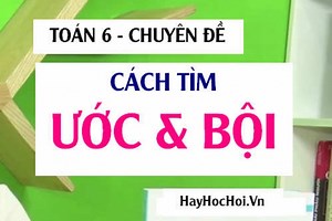 Cách tìm Ước chung lớn nhất (ƯCLN), Bội chung nhỏ nhất (BCNN) và Bài tập vận dụng - Toán lớp 6