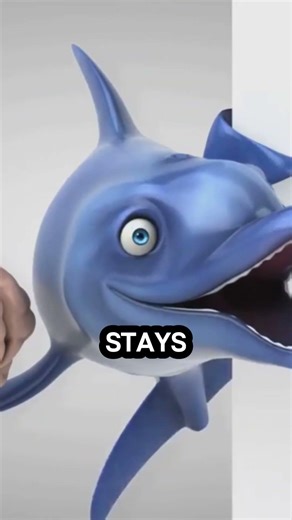 Makes Dolphins So Special? #short