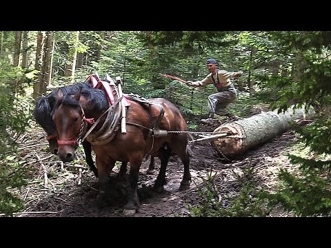 FURMANI SA TREBEVIĆA !!!