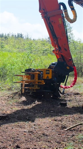 The locking grapples on the TMK Grapple Saw are very useful in situations like this! 😉 #grapplesaw #machinery #hitachiexcavator#forestry #treecutting #efficient | TMK Machinery