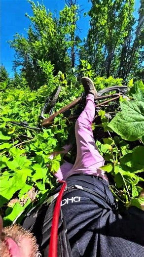 Follow me for more biking tips #pnwmtb #darrington #whoops #eatyourgreens #pnwonderland