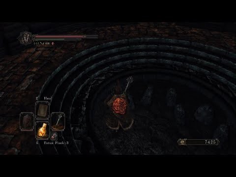 Ds2 blind first playthrough velstadt