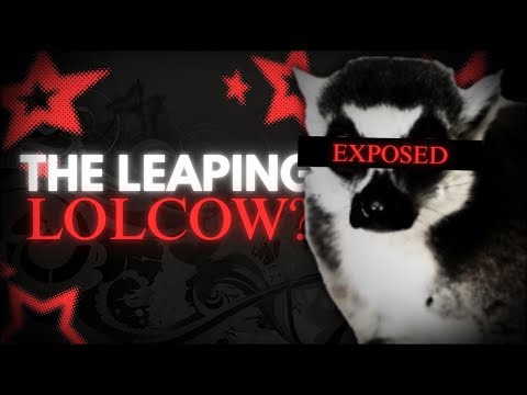 How A Lolcow News YouTuber Became a Lolcow Himself |Leaping Lemur|