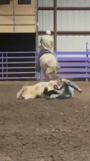 Slammin’ Steers! Wrangler Western Wrangler Twister Trailer OE Nutraceuticals CSI Saddlepads Resistol #bradlands | Jake Holmes - Rodeo