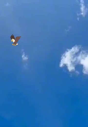 👑umarkhan👑 (@khanumer554)’s videos with original sound - 👑umarkhan👑