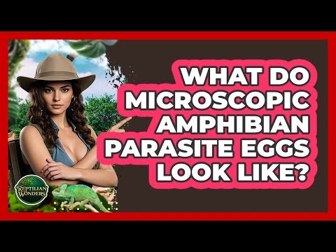What Do Microscopic Amphibian Parasite Eggs Look Like? - Reptilian Wonders