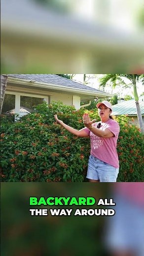 Dwarf Firebush IS A Wildlife Magnet In Your Backyard!