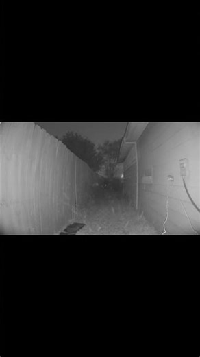 Unexplained strange halos then this appears. #shadowfigures #mystery #horror #unexplained #creepy