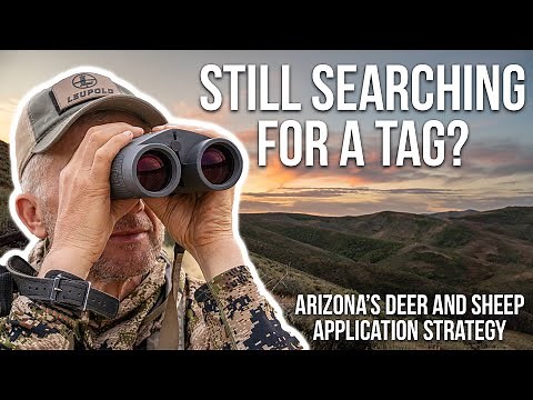 How to Apply for Arizona Deer and Sheep Tags | 2024 Arizona Deer and Sheep Application Strategy