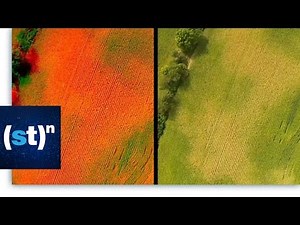 How are drones helping farmers keep an eye on crops? | SciTech Now