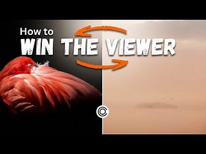 High-Key & Low-Key Photography Explained | Settings, Lighting & Editing