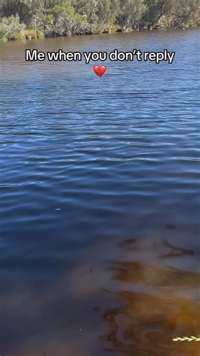 Get our Relatable Pepe & Pepa The Frogs Unique Outfits 😍💙🩷 #withoutyou #lonely #sad #sister #daughter #bestie #motherdaughter #fatherdaughter #relatable | Relatable Pepe