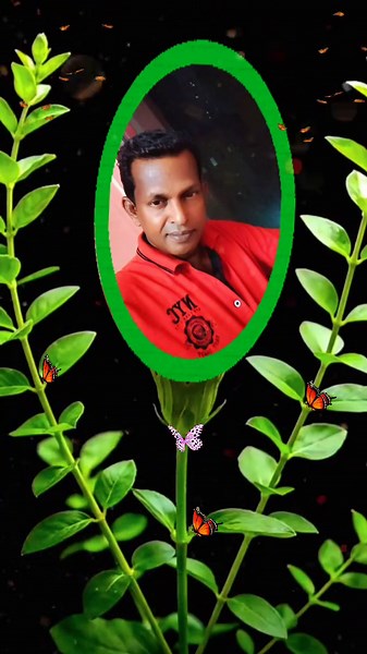 Surlee (@surlee92)’s videos with original sound - saranya1925