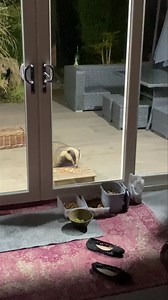 470K views · 38K reactions | Me and a late night Mrs Lumpy giving me...