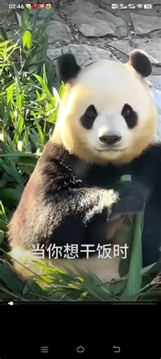 大海生气的可爱反应