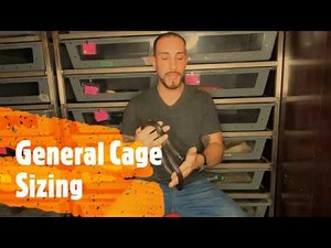 Minimum Cage Size Guidelines for Most Snakes