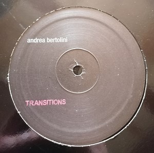 Andrea Bertolini - Transitions