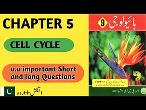 9th Class Biology Chapter 5 | Important Short & Long Questions | Cell Cycle