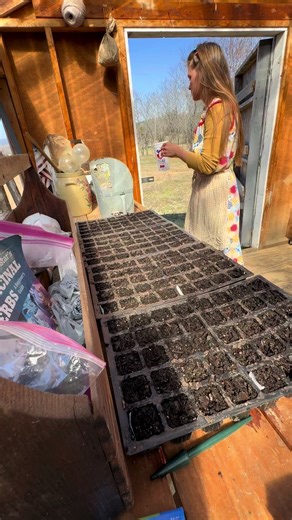 Happy Seeding Tips for Zone 7b Gardening