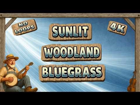 Bluegrass Sunlit Woodland: Relaxing 4K Living Window (No Loops)