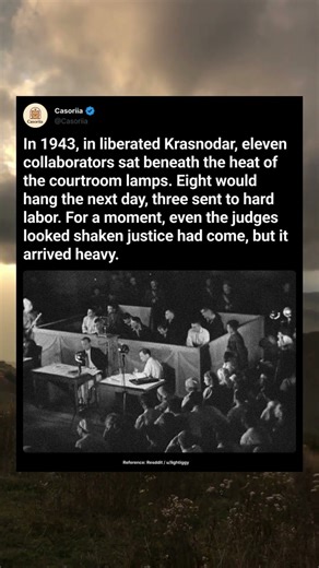 The Collaborators Who Faced Judgment #history #military #movie #ww2