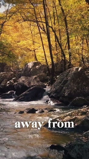 IF YOU’RE REJECTED, ACCEPT IT – Motivational Speech