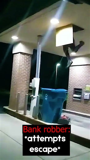 Bank Robber Gets Instant Karma From Police