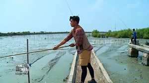 Sensasi Mancing Ikan Glodok | MANCING MANIA STRIKE BACK - Part 1 #MancingManiaStrikeBack #mancingmania #mancingmaniatrans #TRANS7 | TRANS7