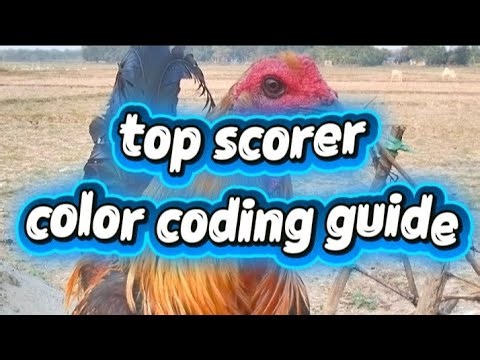 top scorer color coding guide