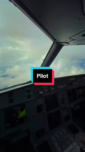Airplane Cockpit View