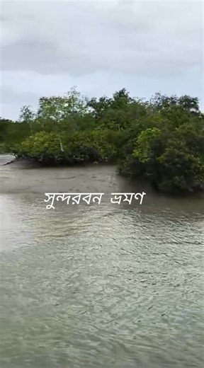 #SundarbansAdventure #SundarbanTour2025 #Sundarban #hilightseveryonefollowers2025 #fbreelsfypシ゚viral #boatsafari #travelsdestinatiosudarban | Sundarban