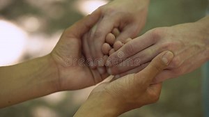 Two Loving Male Holding Hands, Care and Support, Homosexual Relations, Romance Stock Footage - Video of orientation, marriage: 124437146