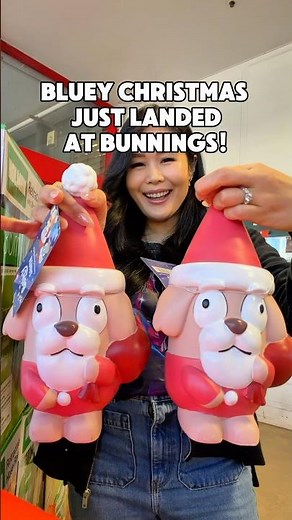 Bluey Christmas stock is now in Bunnings! They even have a Santa Garden Gnome this year hehe
