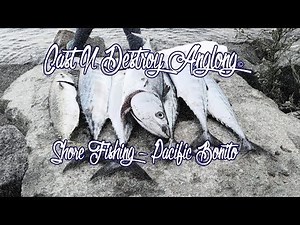 Shore Fishing - Bonito in San Diego California..