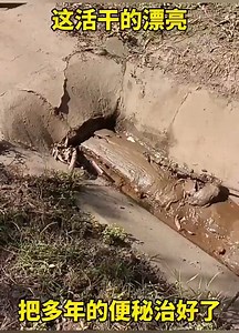 2.5M views · 4.5K reactions | human skills and intelligence | Narowal1 News | Facebook