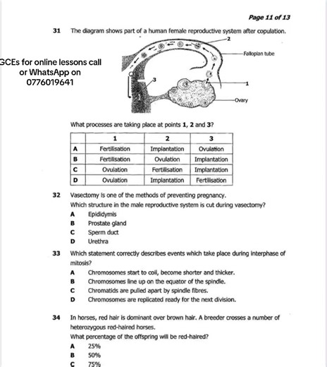 Understanding the Human Female Reproductive System