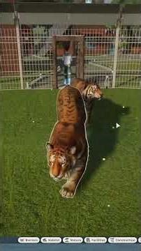 I Made a Bengal Tiger Habitat in Planet Zoo #planetzoo