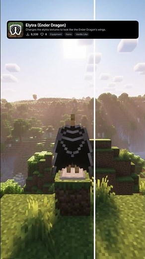 Best Minecraft Elytra Texturepack #minecraft #texturepack #shorts #gaming #resourcepacks #txt #mc