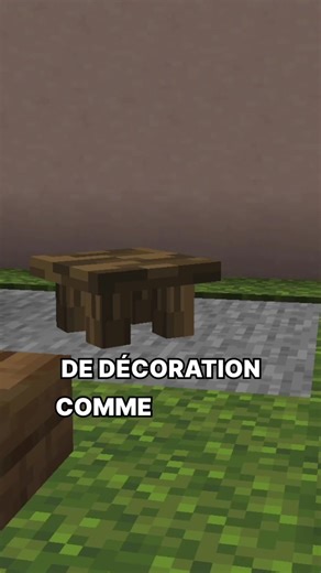 Ça vous dit une vidéo plus longue où je vous montre les commandes ? #minecraft #datapack