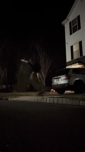Kickflip 2 curb at Insurance “board meeting” #insurance #skate #kickflip