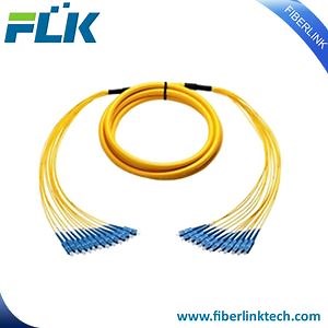 [Hot Item] Multi-Cores 12 Cores Distribution Breakout Fiber Optical Patch Cord