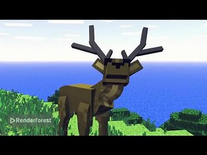 Animation starts at 25th