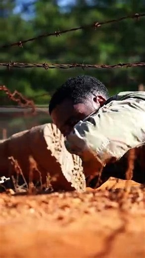 production video of Hello bus